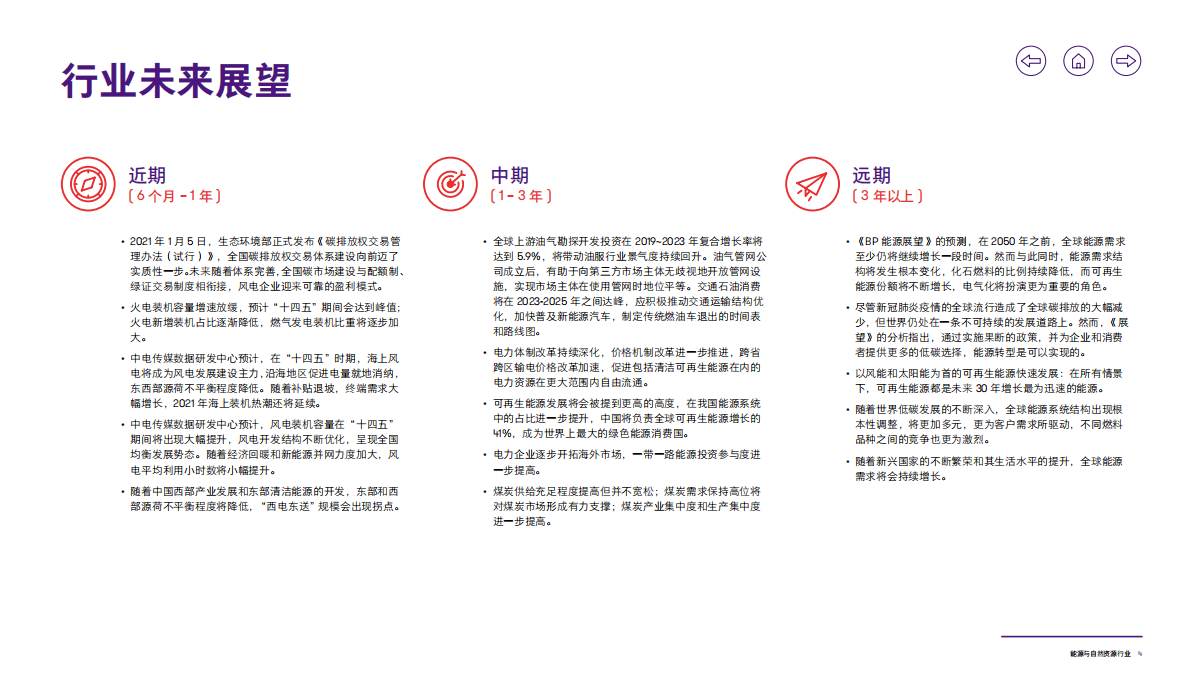 致同咨询：2021年能源与自然资源行业洞察 第5页