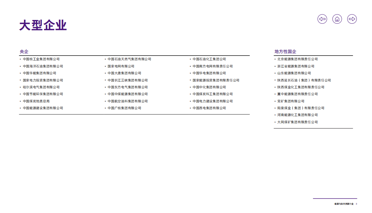 致同咨询：2021年能源与自然资源行业洞察 第4页