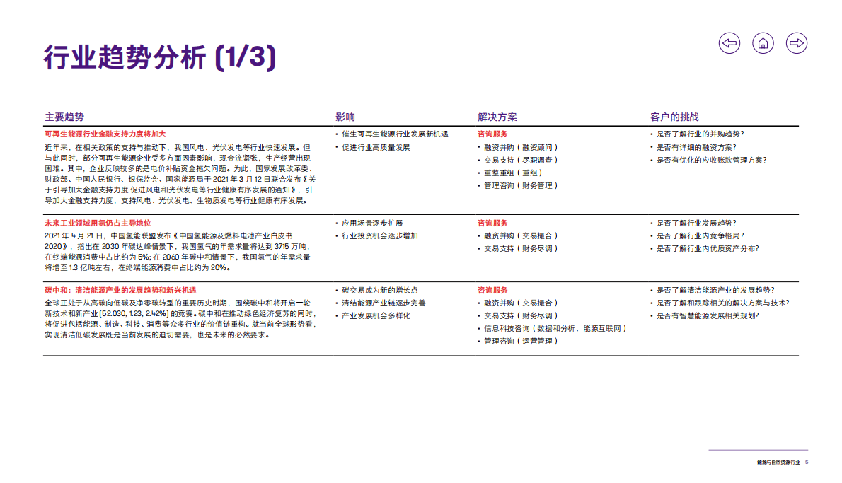致同咨询：2021年能源与自然资源行业洞察 第6页