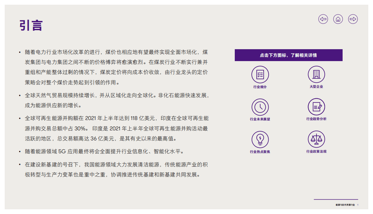 致同咨询：2021年能源与自然资源行业洞察 第2页