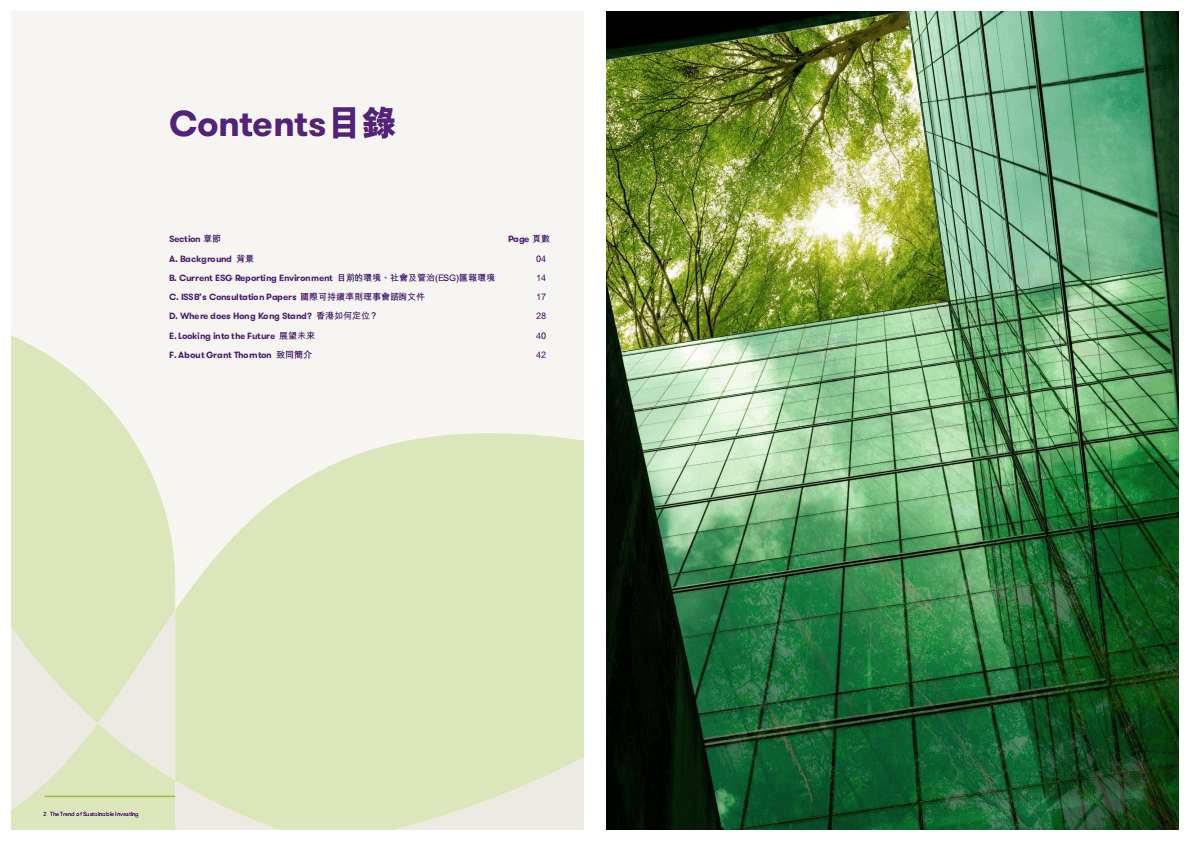 致同咨询：2022年可持续投资的趋势 第2页