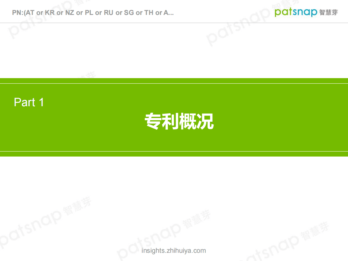 智慧芽：「一带一路」战略中国申请人一带一路专利分析 第3页