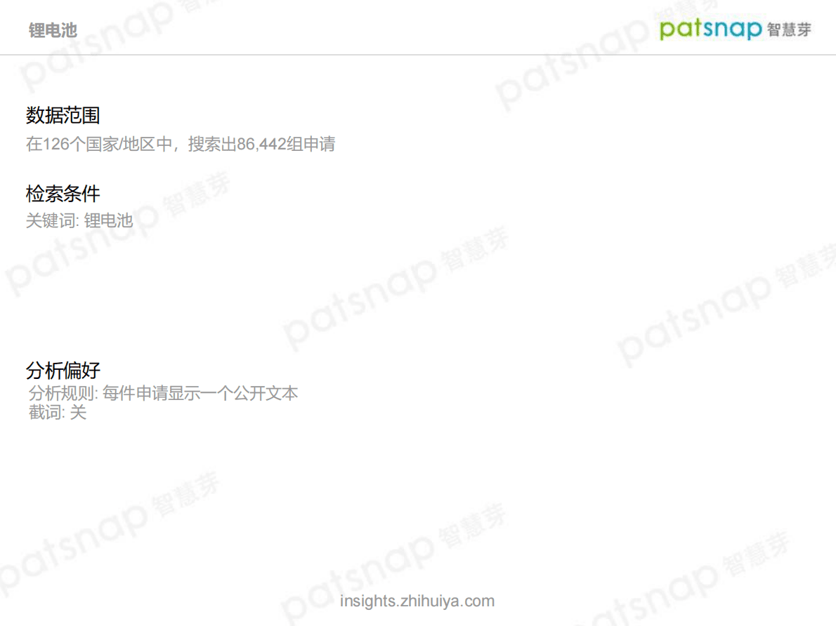 智慧芽Insights：锂电池技术全景分析报告 第2页