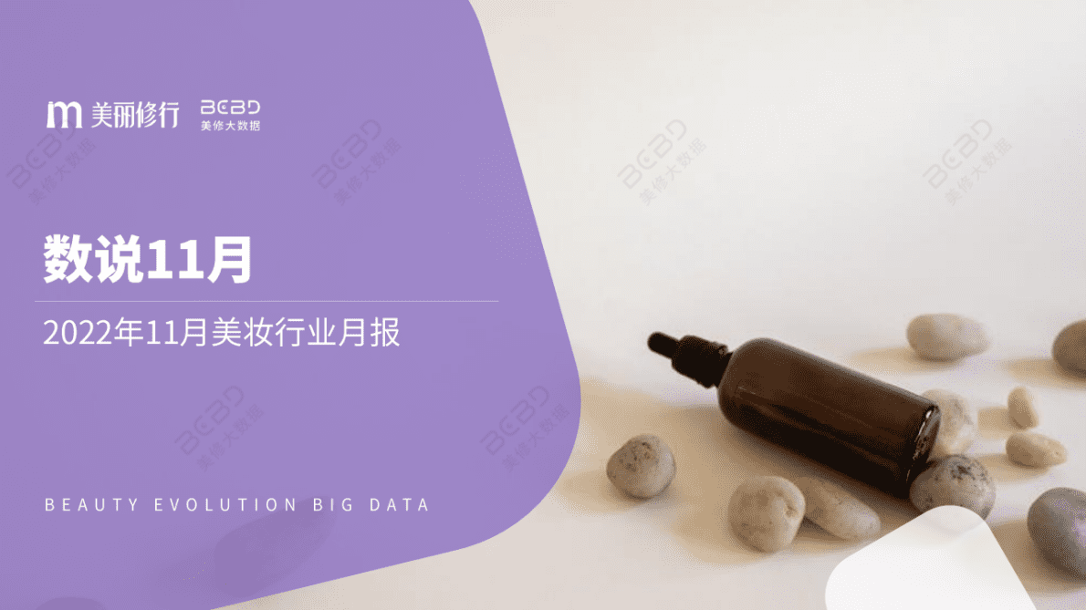 美丽修行：2022年11月美妆行业月度报告 第1页