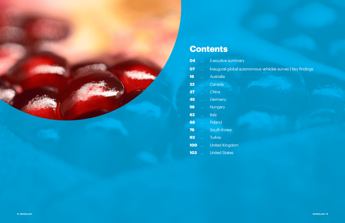 大成Dentons：2022年全球自动驾驶汽车指南（英） 第2页