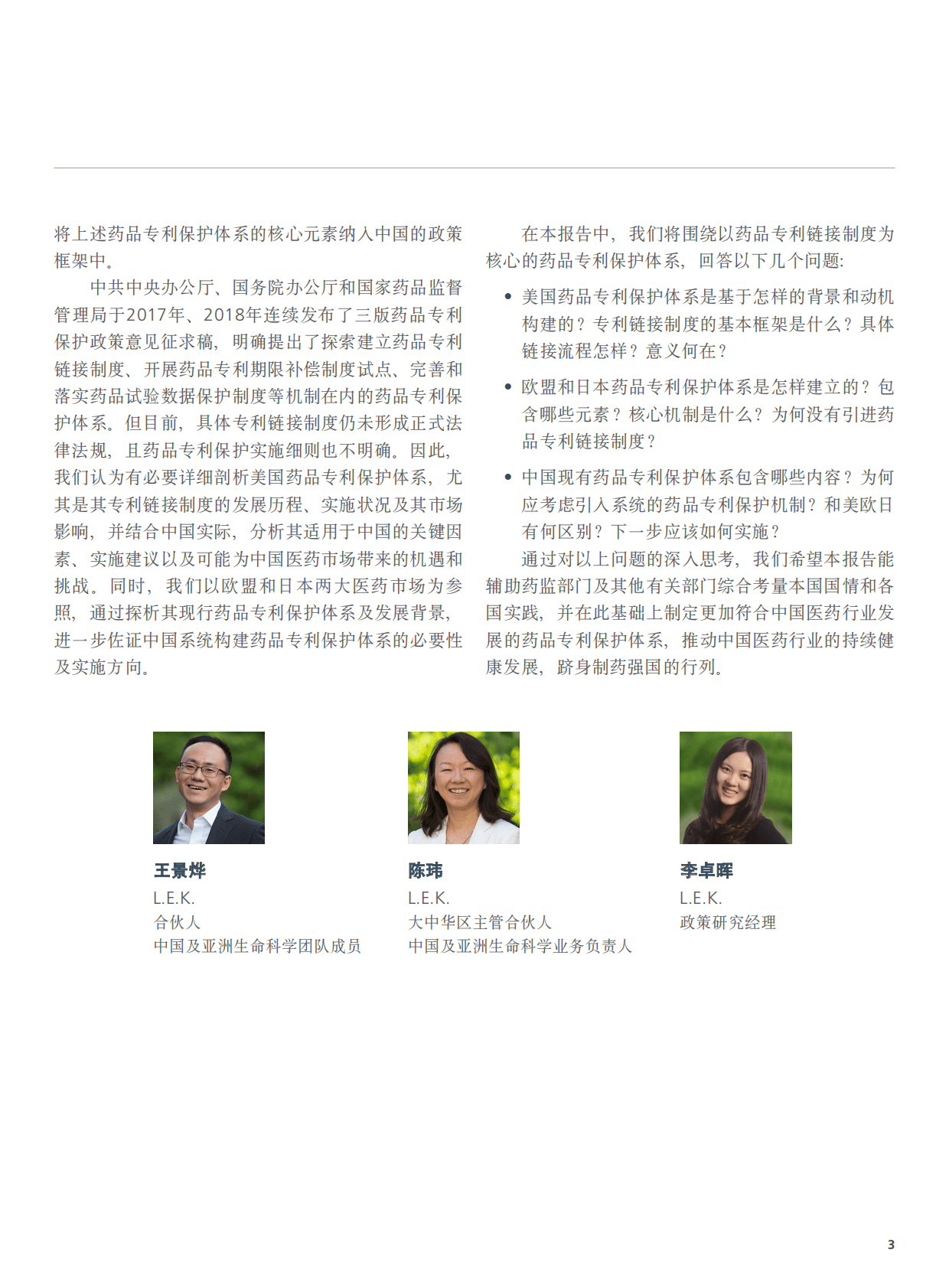 中国药促会：保护创新，促进仿制 对中国建立药品专利保护体系的政策建议报告 第5页