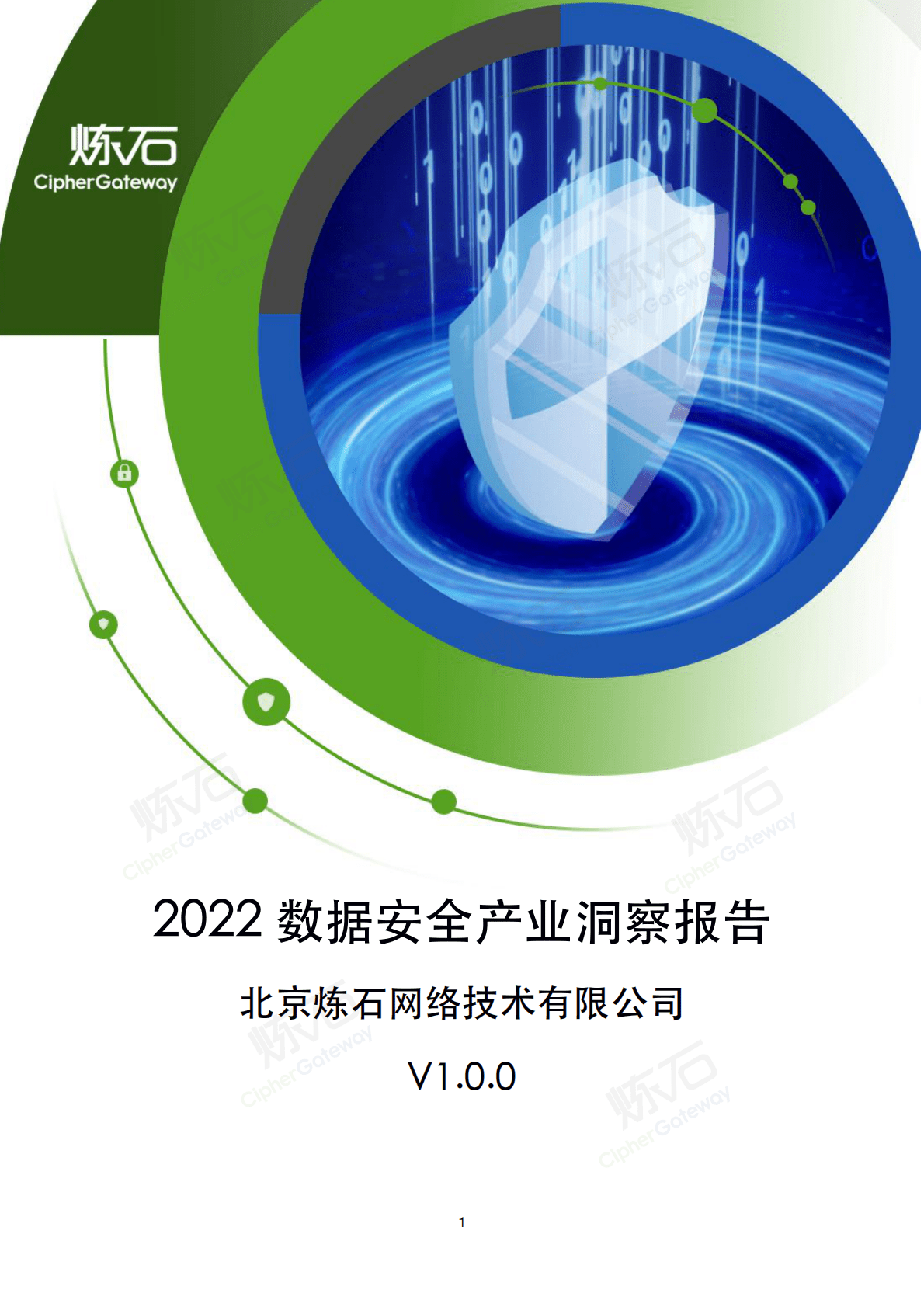 炼石网络：2022数据安全产业洞察报告V1.0 第1页