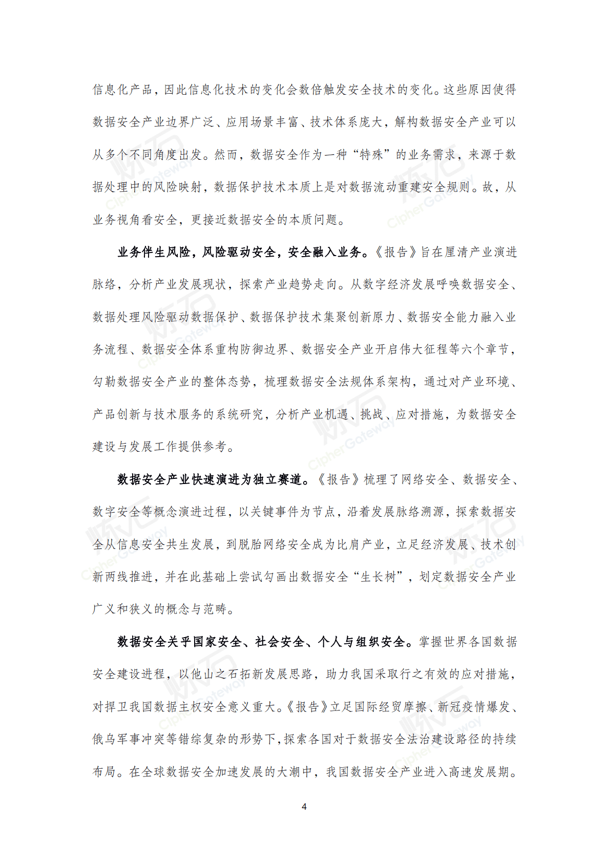 炼石网络：2022数据安全产业洞察报告V1.0 第4页