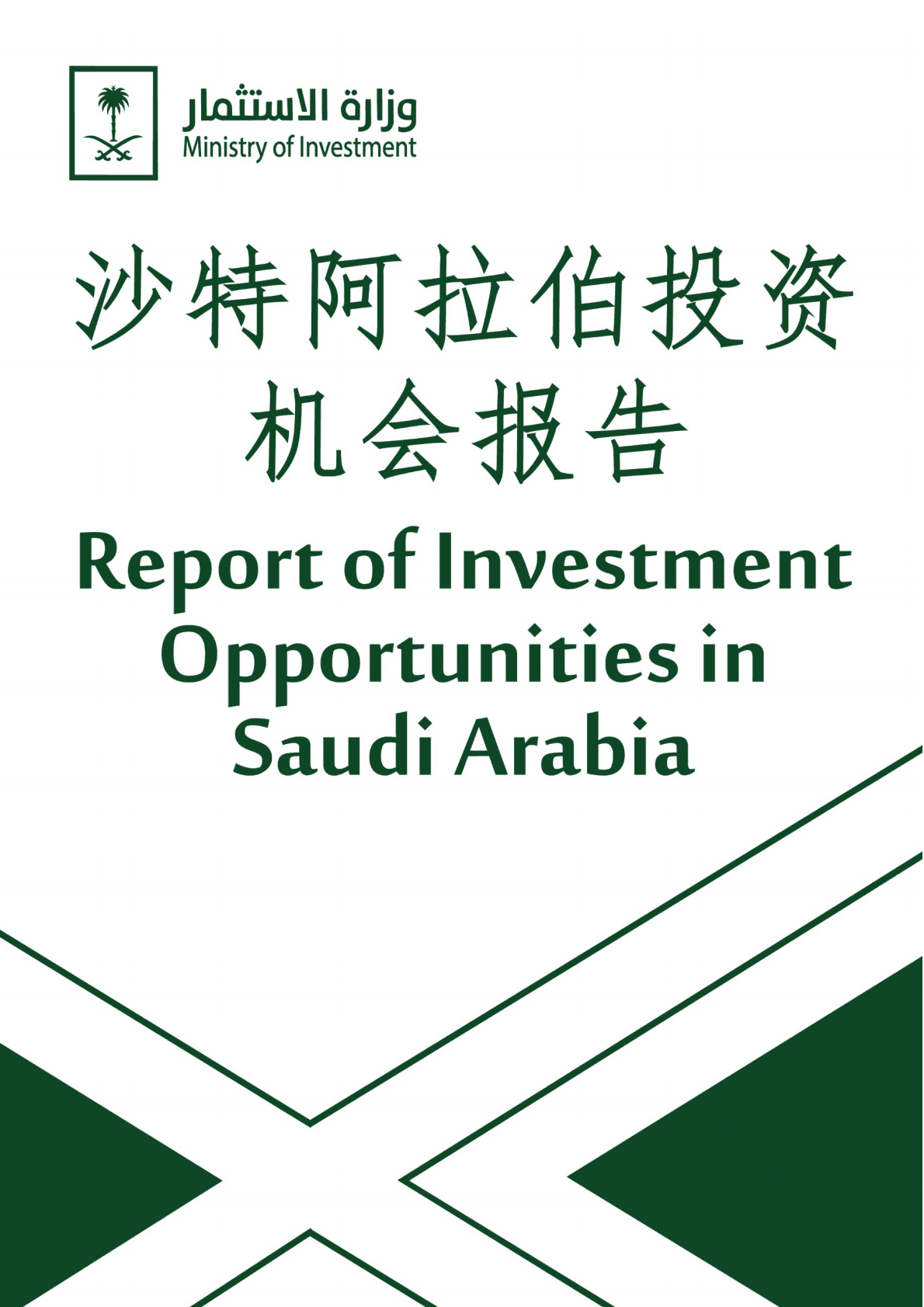 沙特阿拉伯投资机会报告 第1页