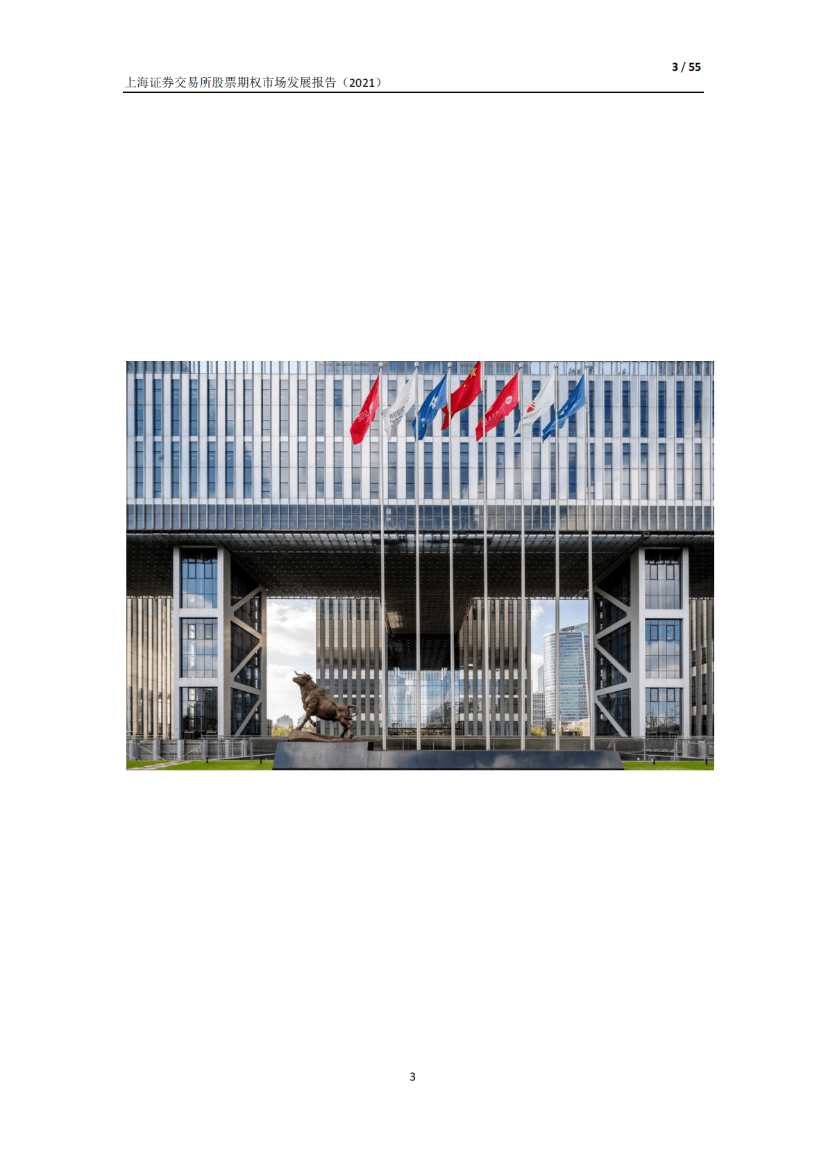 上海证券交易所股票期权市场发展报告（2021） 第3页