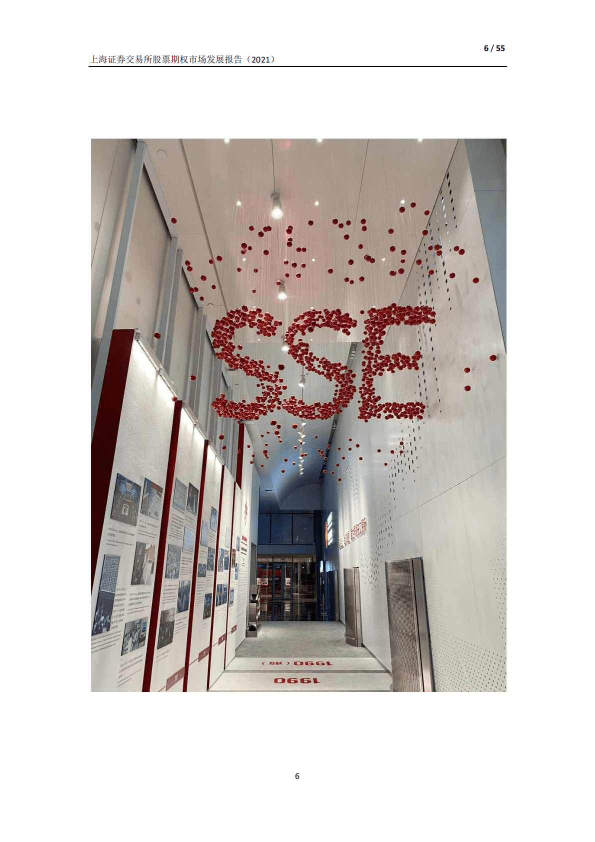 上海证券交易所股票期权市场发展报告（2021） 第6页