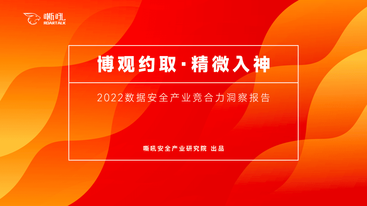 嘶吼安全产业研究院：2022数据安全产业竞合力洞察报告 第1页