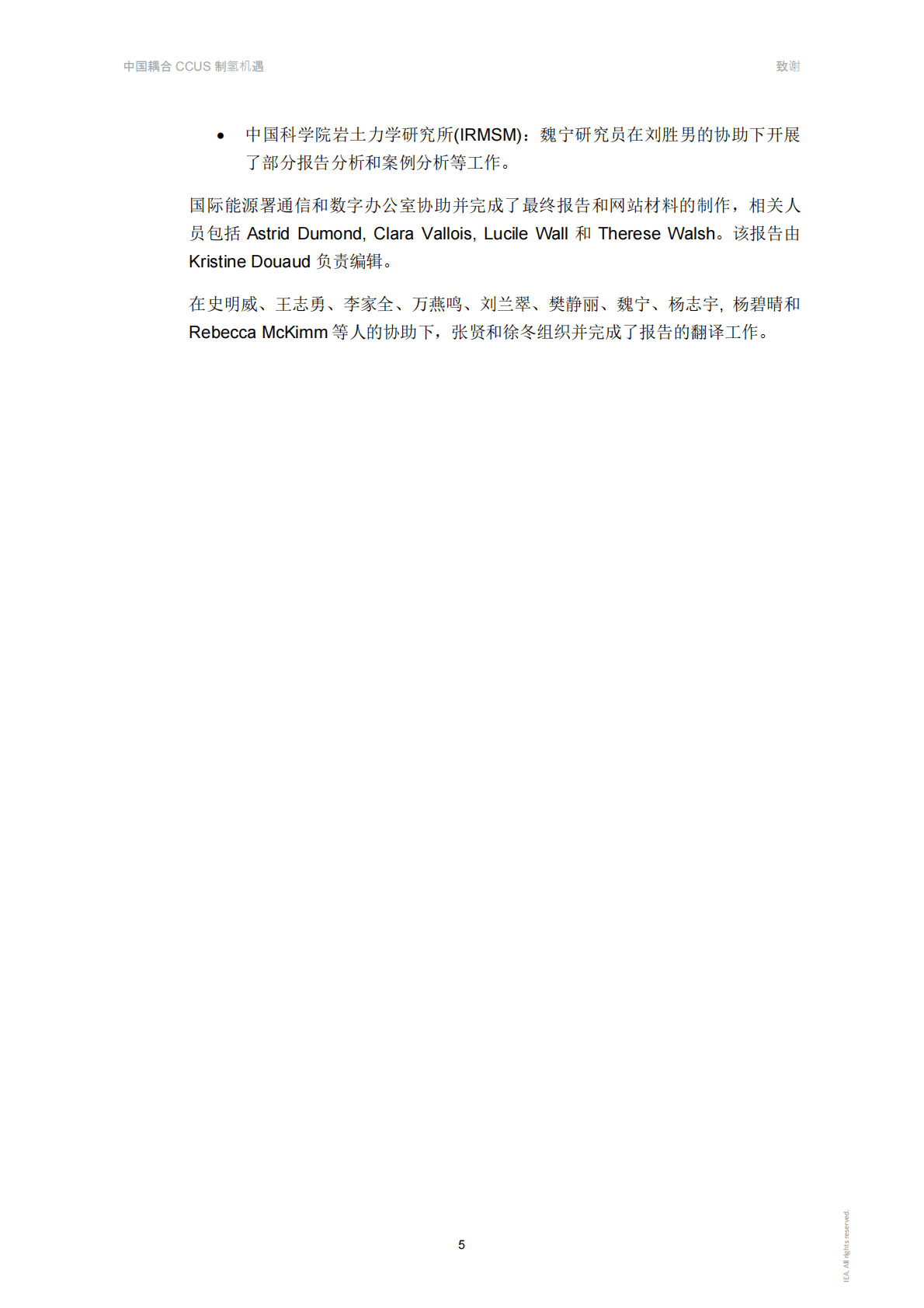 IEA：中国耦合CCUS制氢机遇 第5页