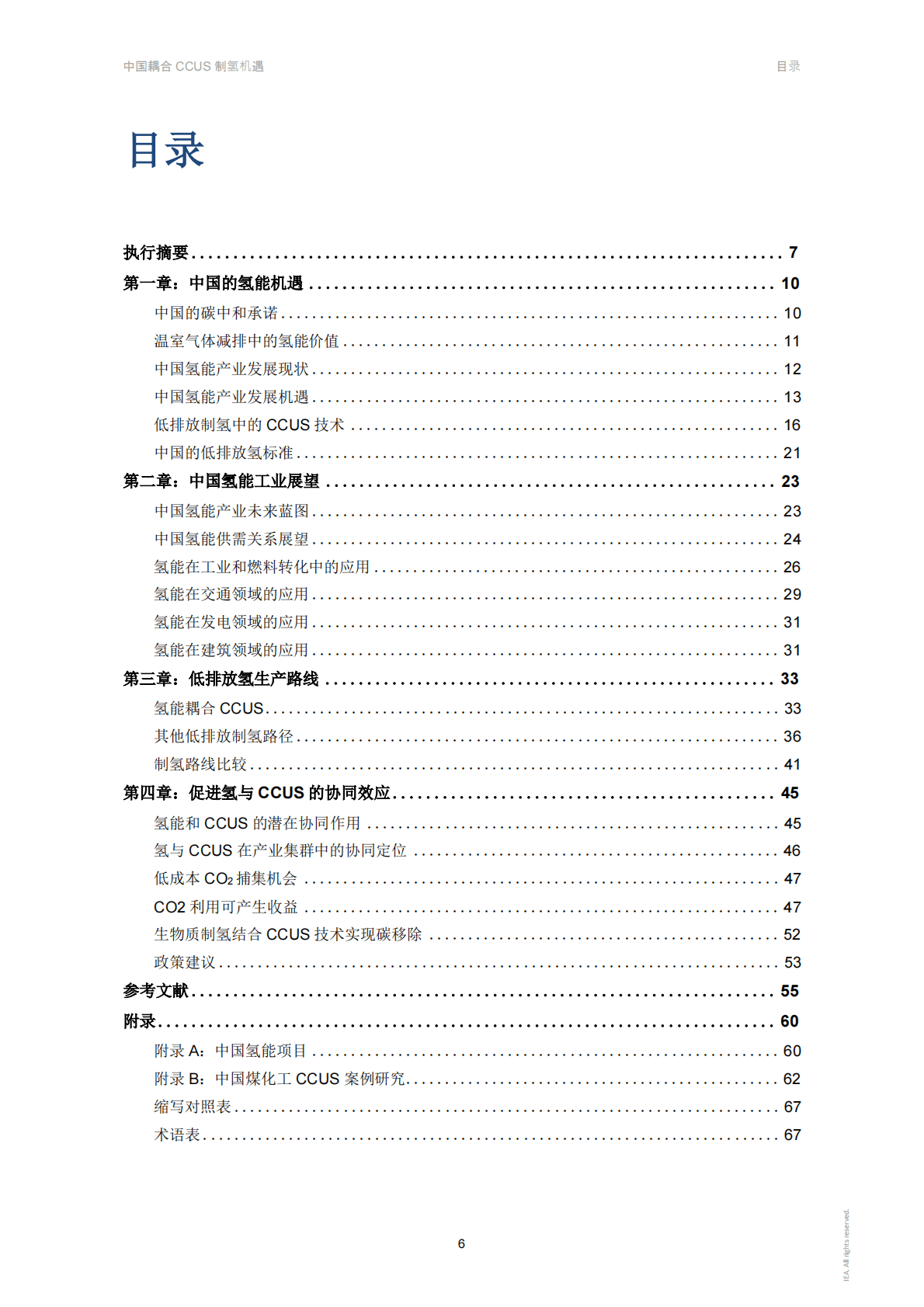 IEA：中国耦合CCUS制氢机遇 第6页