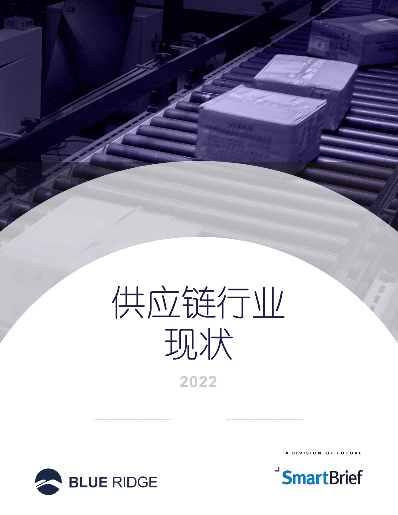 2022年供应链行业现状 第1页