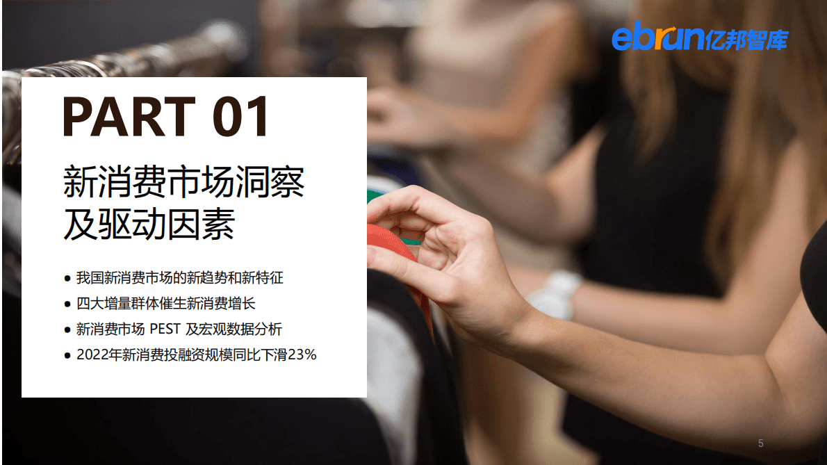 亿邦智库：2022中国新消费增长洞察报告 第5页
