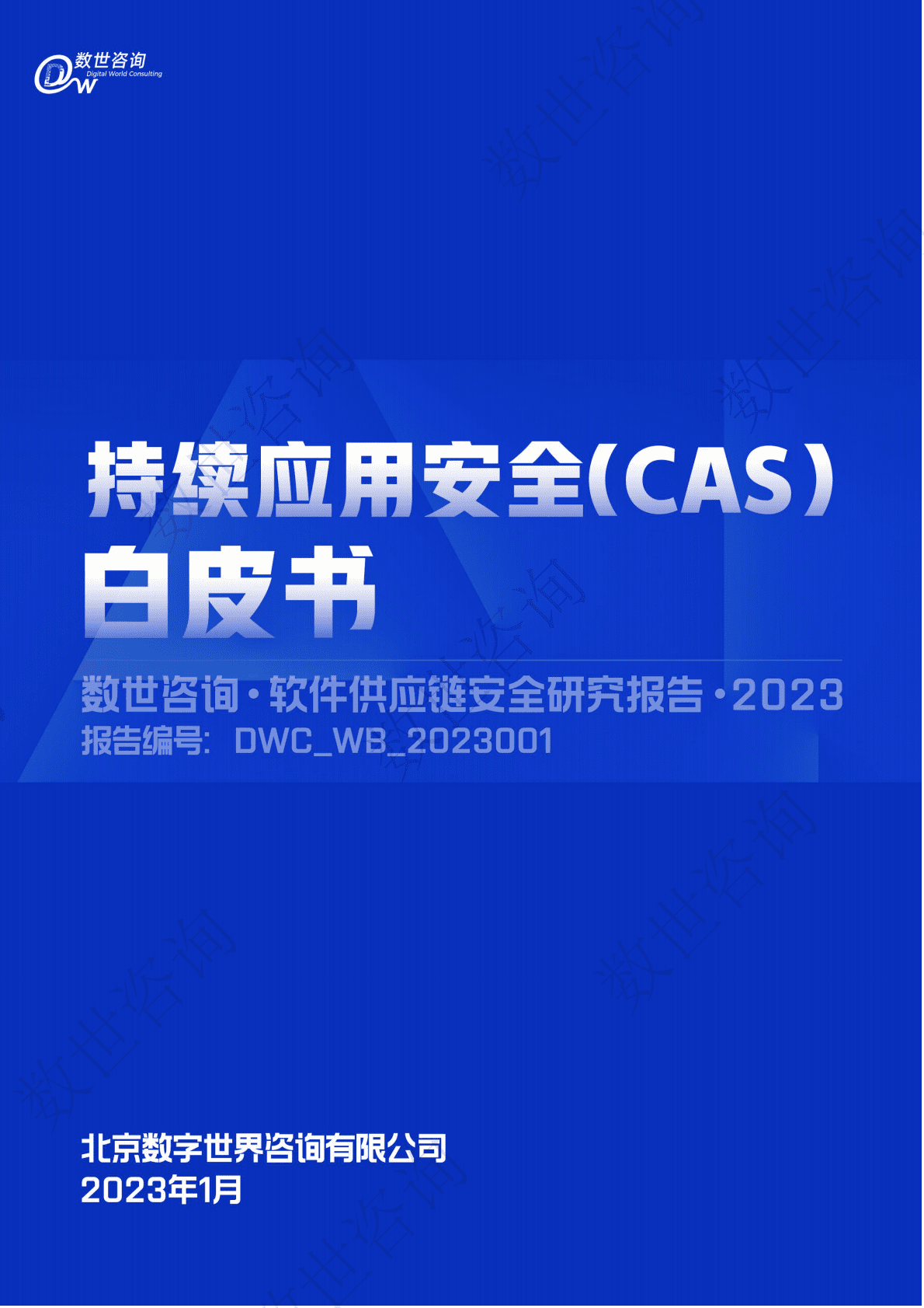 数世咨询：持续应用安全(CAS)白皮书 第1页