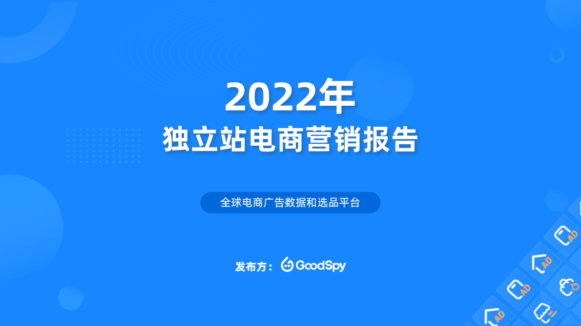 GoodSpy：2022年独立站电商营销报告 第1页
