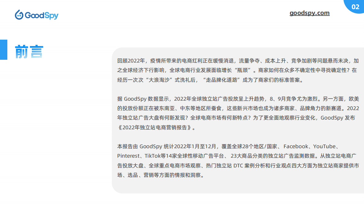 GoodSpy：2022年独立站电商营销报告 第2页