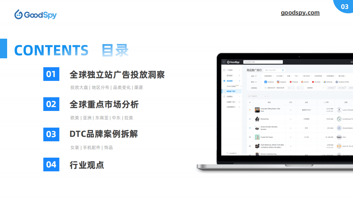 GoodSpy：2022年独立站电商营销报告 第3页