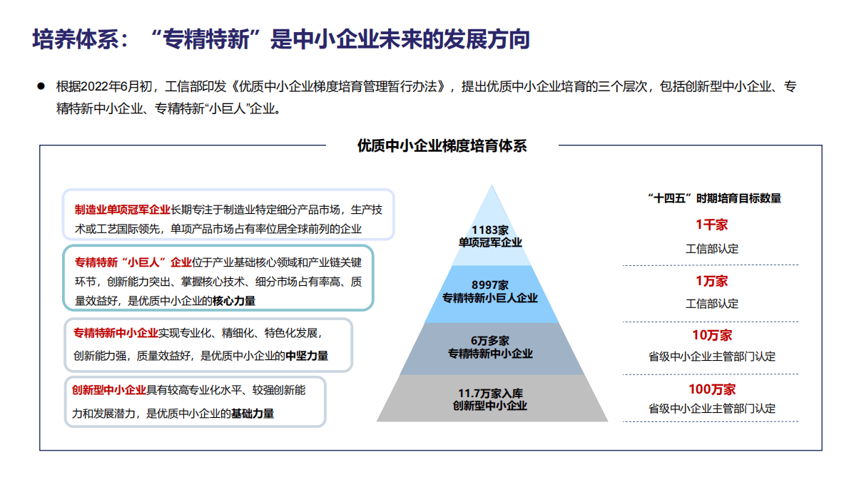 创业邦：2022专精特新小巨人企业发展报告 第6页