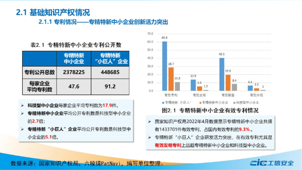 工信安全中心：我国专精特新中小企业创新水平研究 第5页