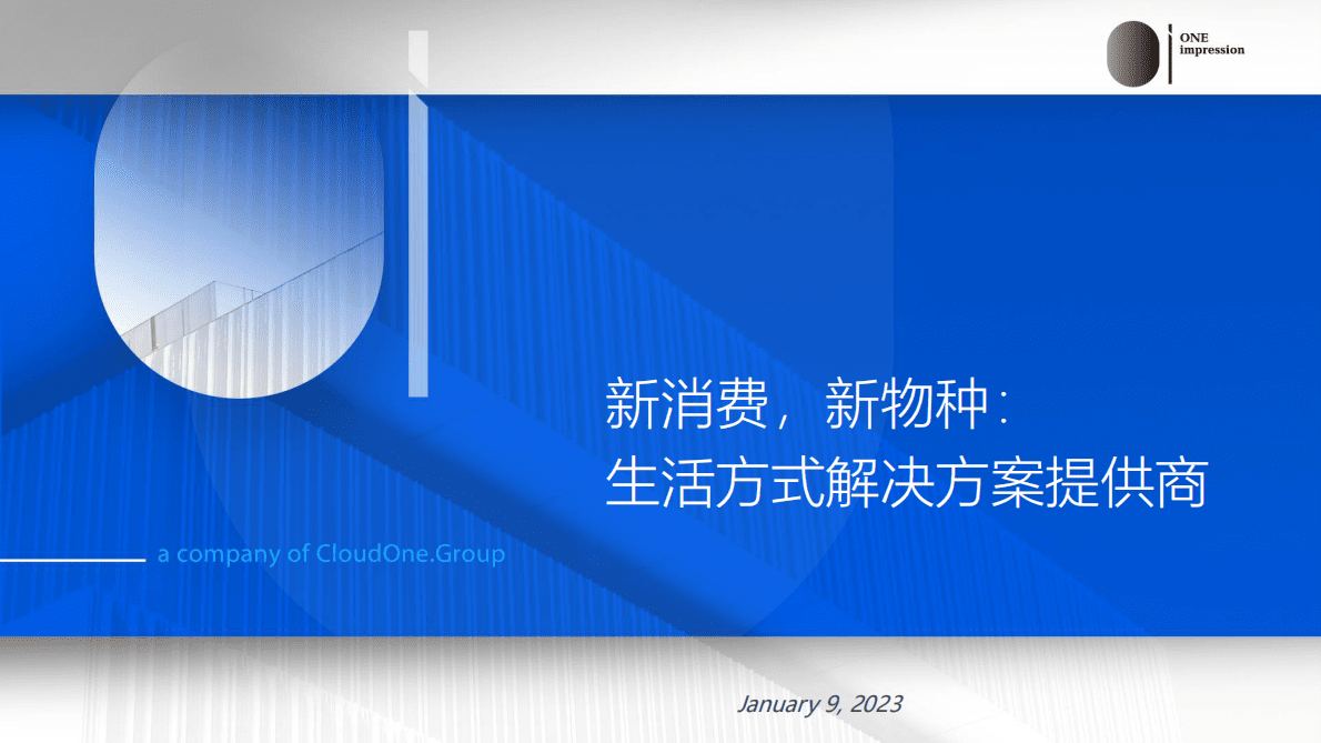 讴霭咨询：新消费，新物种：生活方式解决方案提供商 第2页