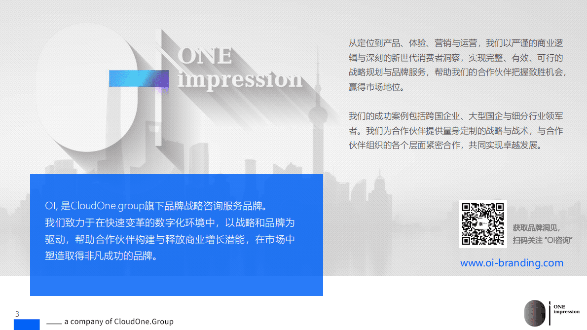 讴霭咨询：新消费，新物种：生活方式解决方案提供商 第3页