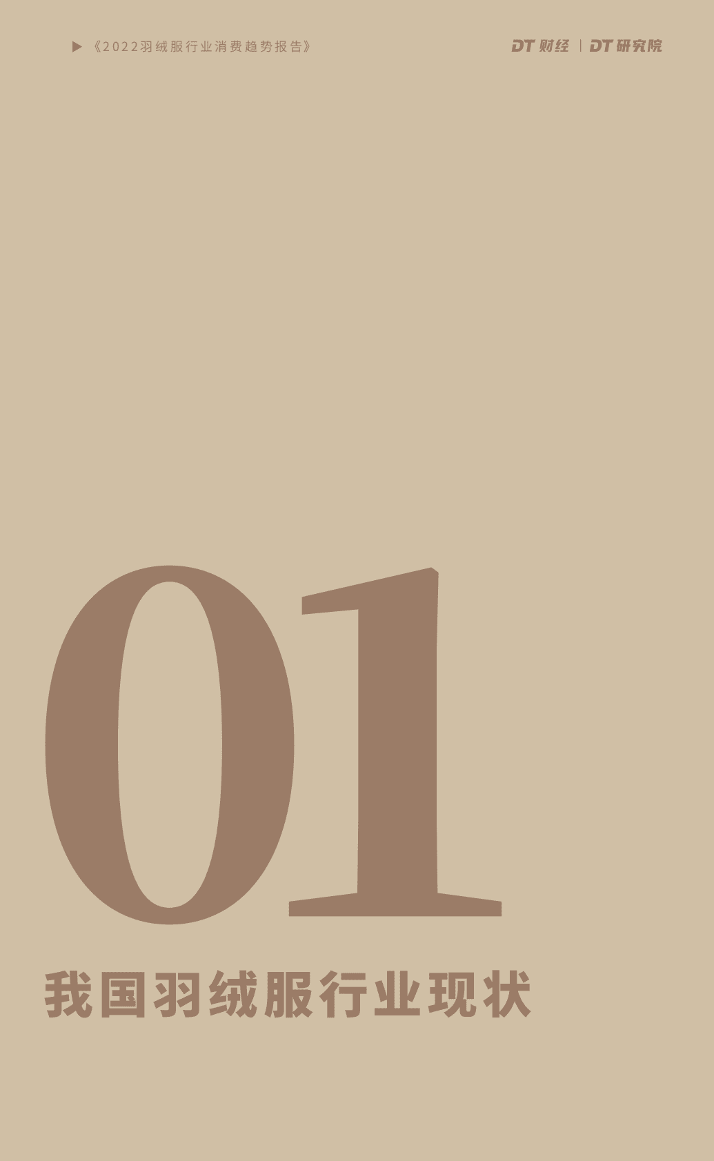 润库数据：2022羽绒服行业消费趋势报告 第5页