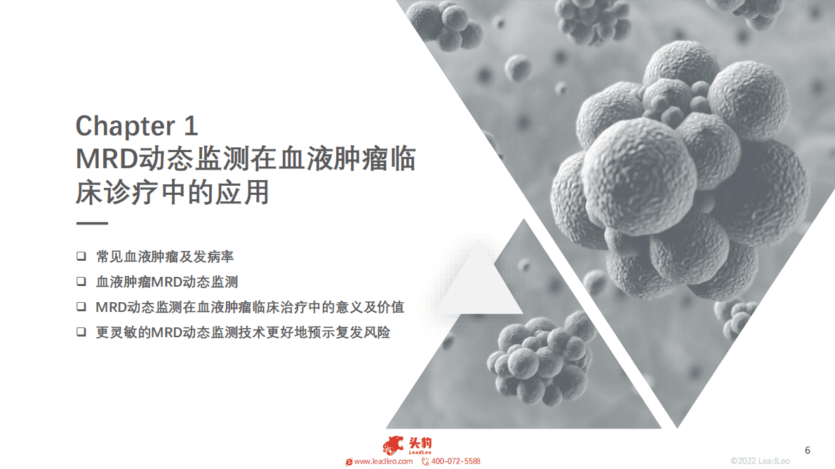 血液肿瘤MRD动态监测研究及伴随诊断方案 第6页
