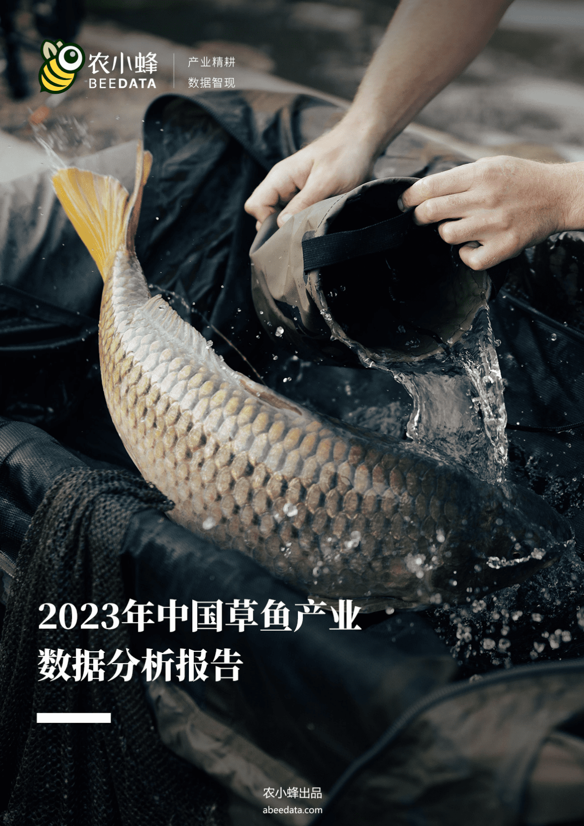 农小蜂：2023年中国草鱼产业数据分析报告 第1页