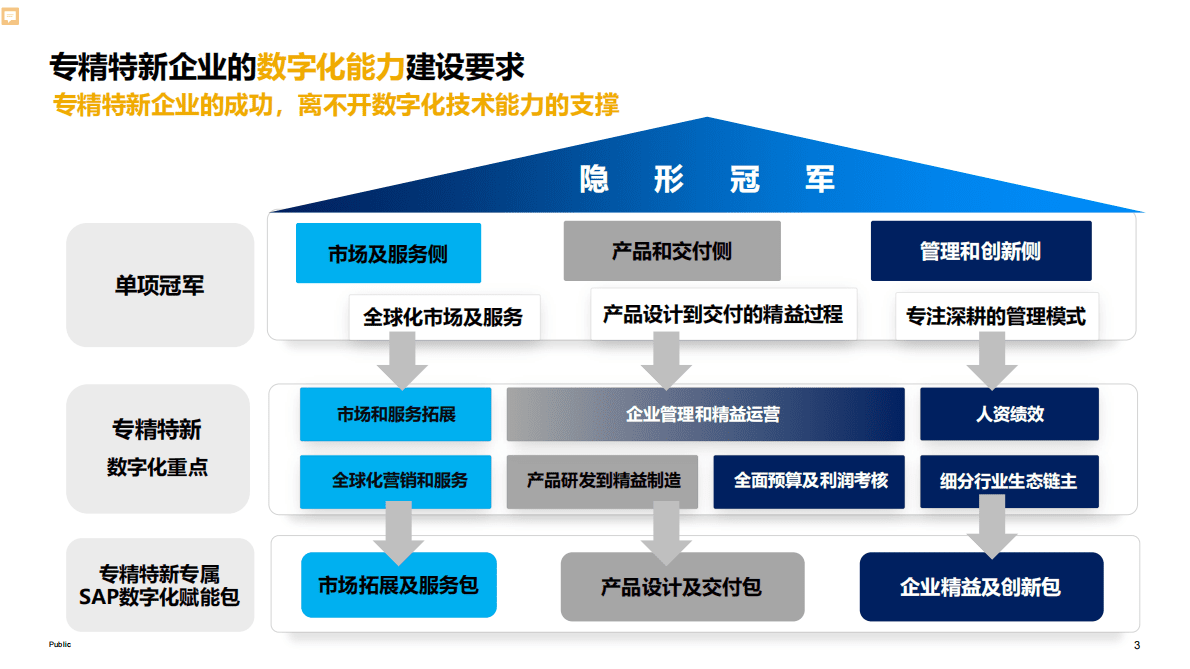 思爱普：通过SAP数字化供应链打造韧性供应链 第3页