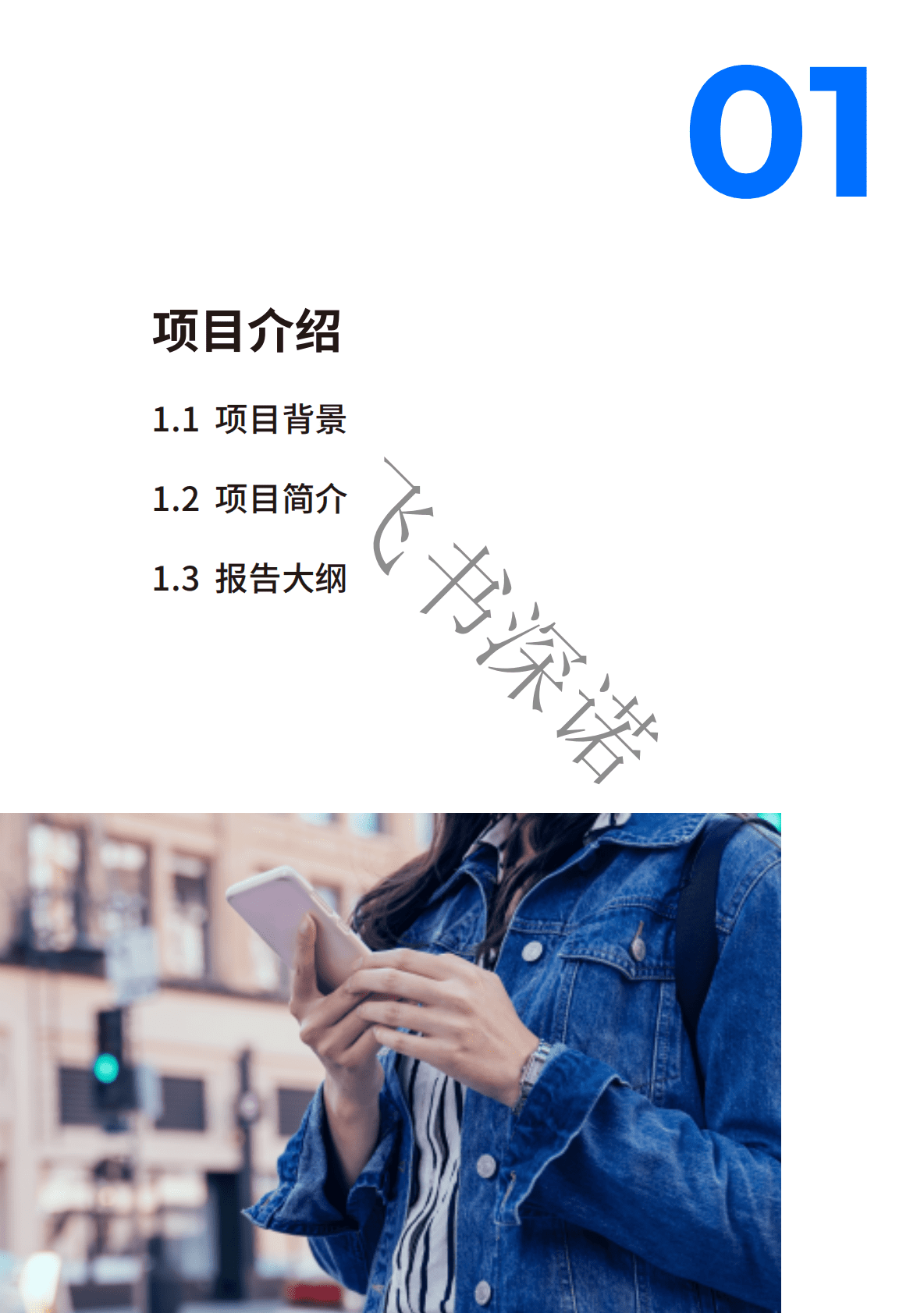 飞书深诺：2022年智能手机品牌与用户调研报告 第4页