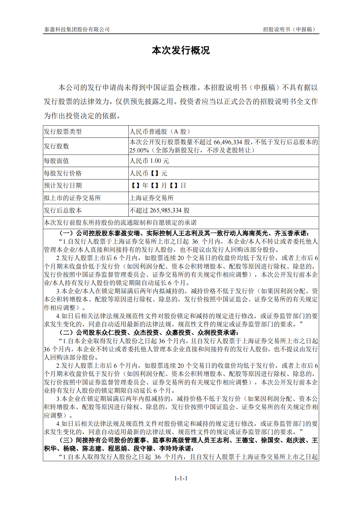 泰盈科技集团股份有限公司上交所主板IPO上市招股说明书 第2页