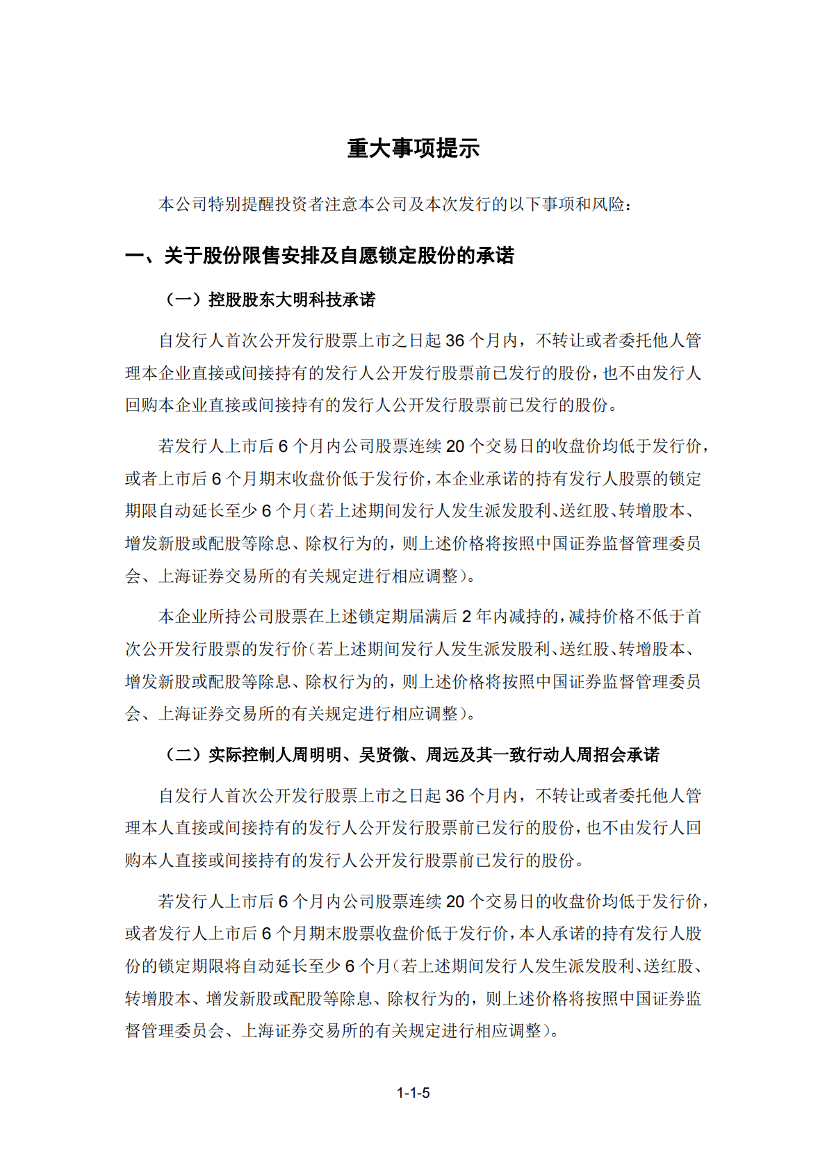 大明电子股份有限公司上交所主板IPO上市招股说明书 第6页