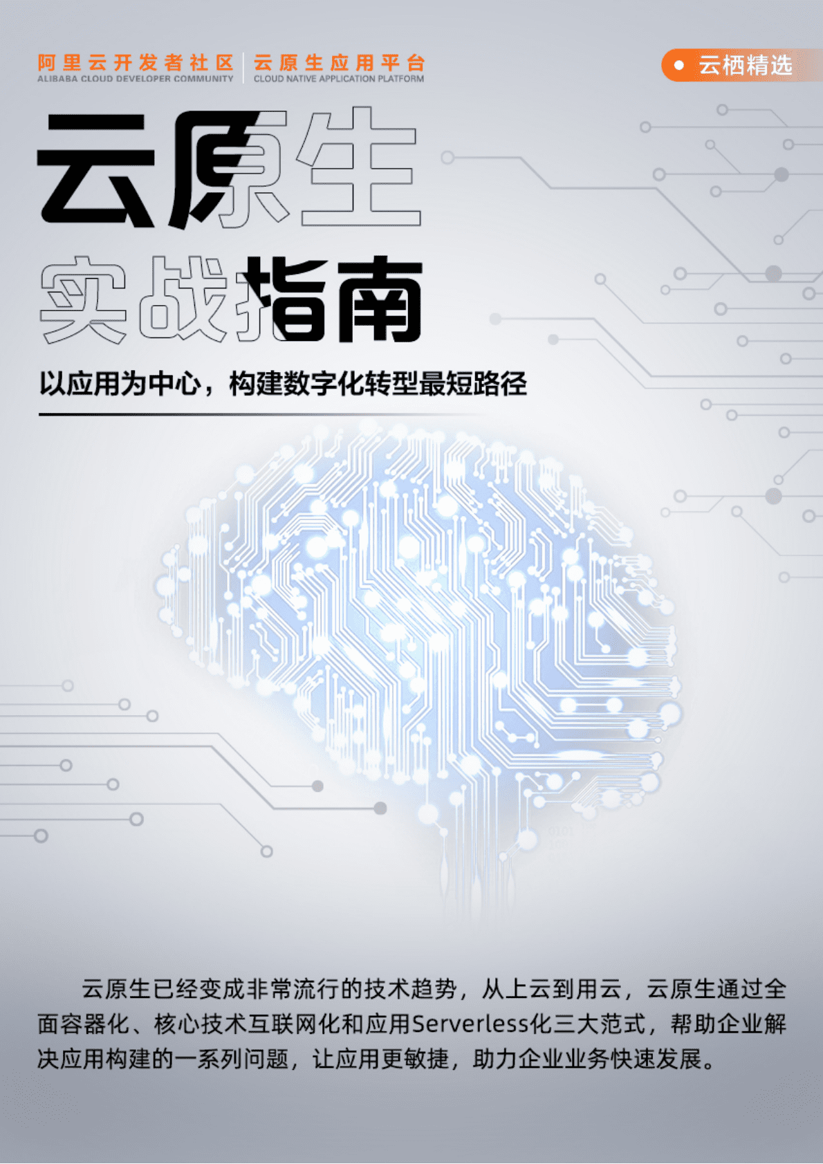 阿里云：云原生实战指南 第1页