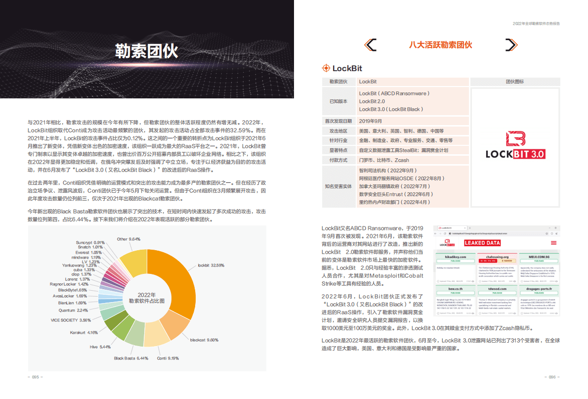 安恒信息：2022年全球勒索软件态势报告 第4页