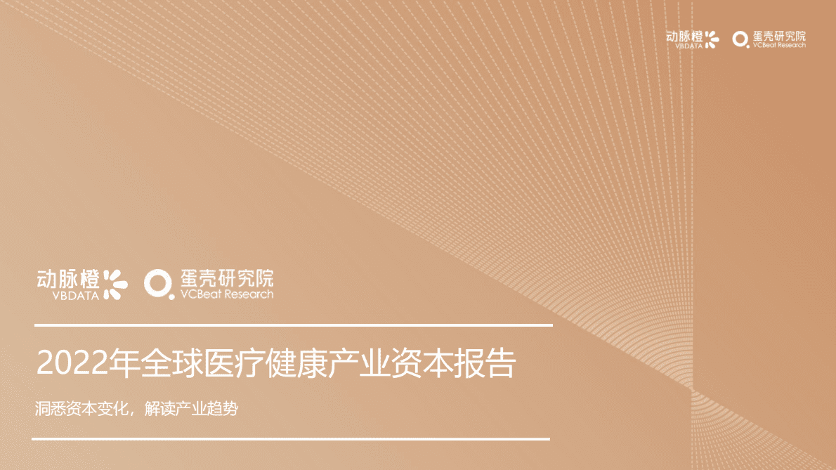 动脉橙：2022年全球医疗健康产业资本报告 第1页