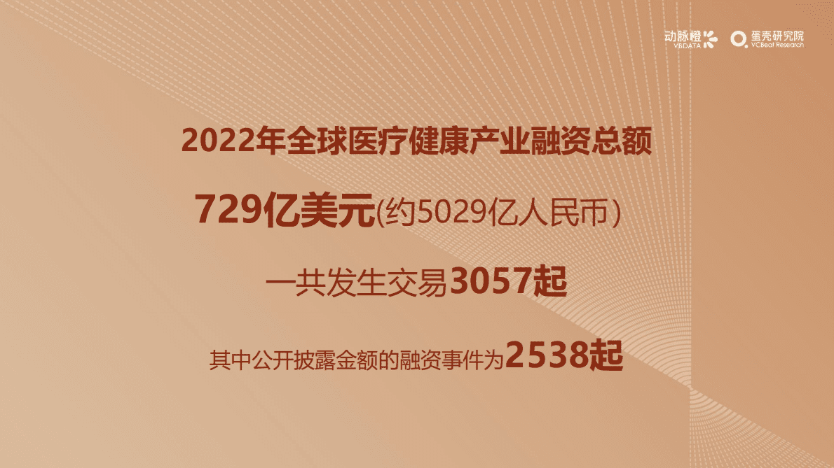 动脉橙：2022年全球医疗健康产业资本报告 第6页