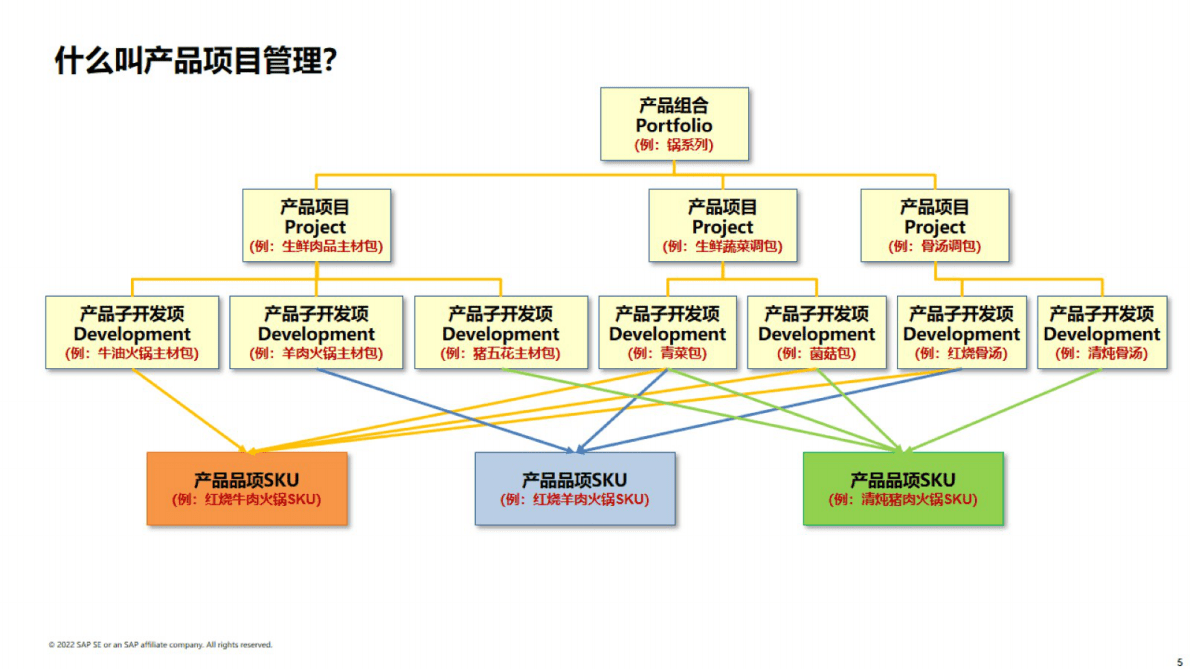 思爱普：赋能企业数字化制造能力，提升竞争优势与效益 第5页