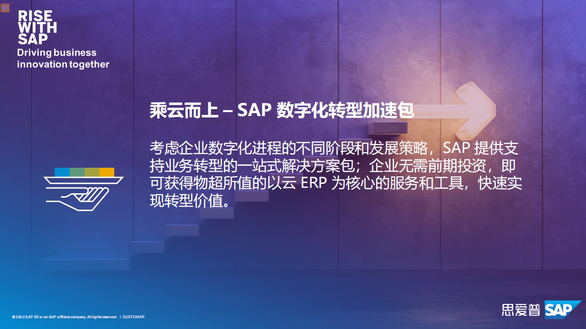 思爱普：加速高科技企业数字化转型 第6页