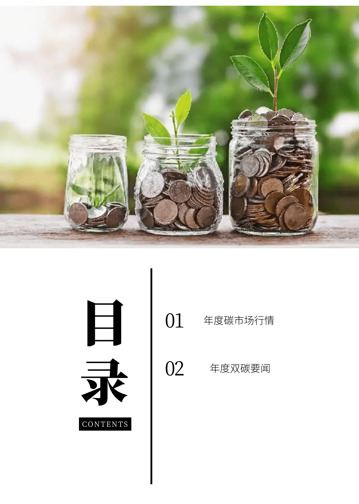 碳资产联合发展中心：2022双碳年报 第2页