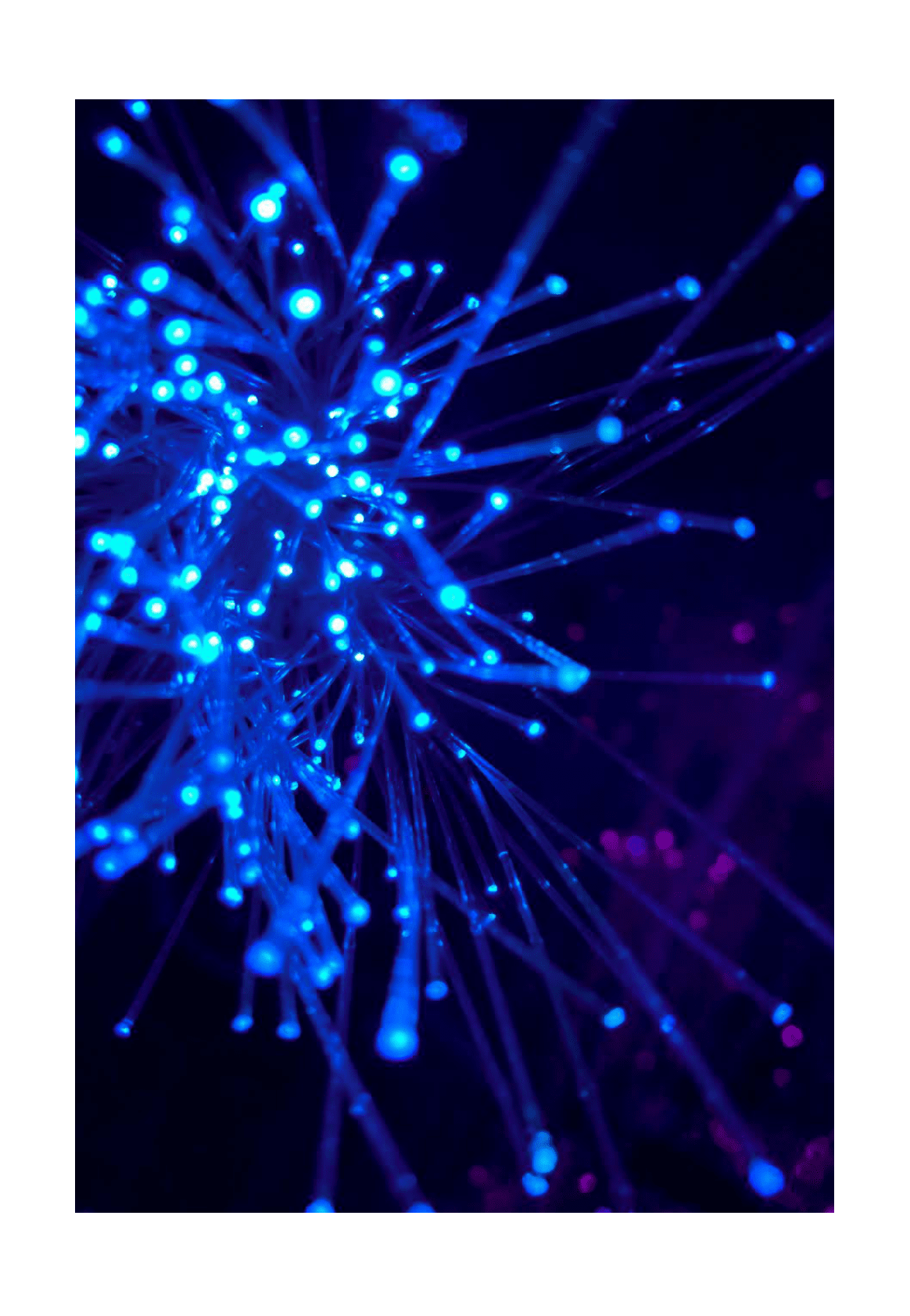 中伦：网络安全与数据保护报告2.0版 第6页