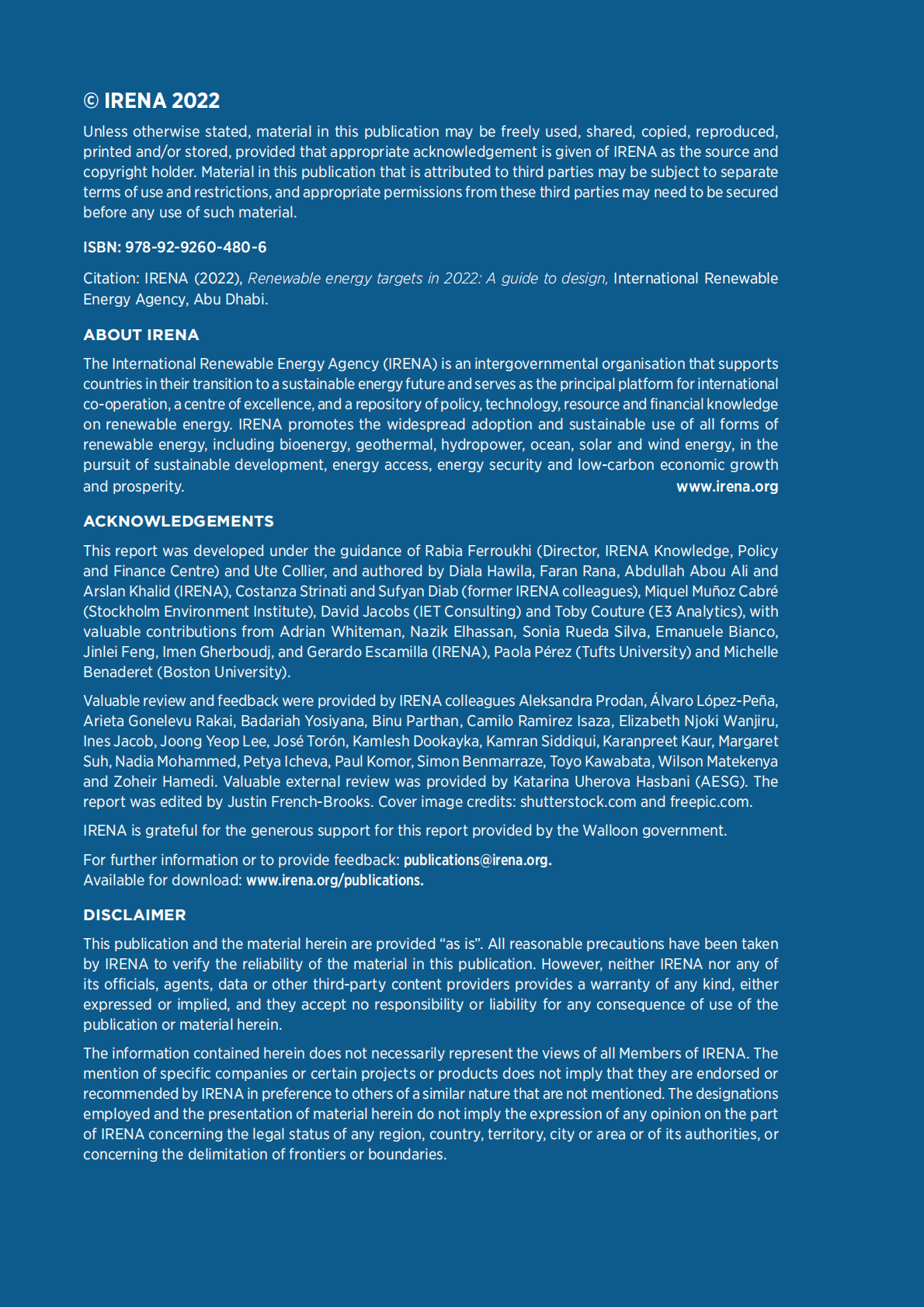国际可再生能源署（IRENA）：2022年可再生能源目标：设计指南报告【英文版】 第2页