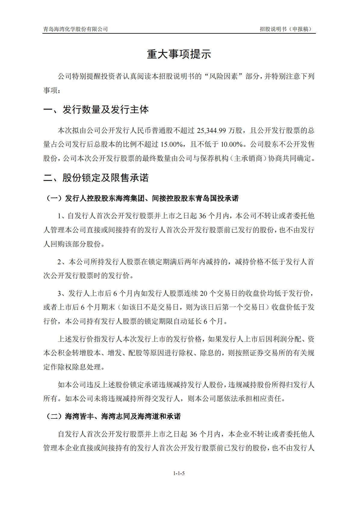 青岛海湾化学股份有限公司上交所主板IPO上市招股说明书 第6页