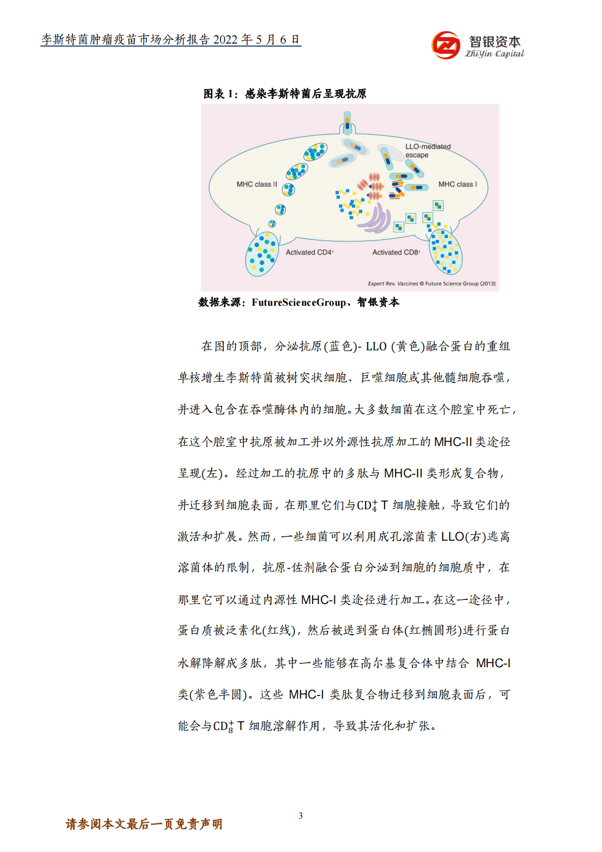 智银资本：李斯特菌肿瘤疫苗市场分析报告 第4页