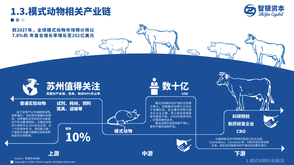 智银资本：模式动物相关产业分析报告 第5页
