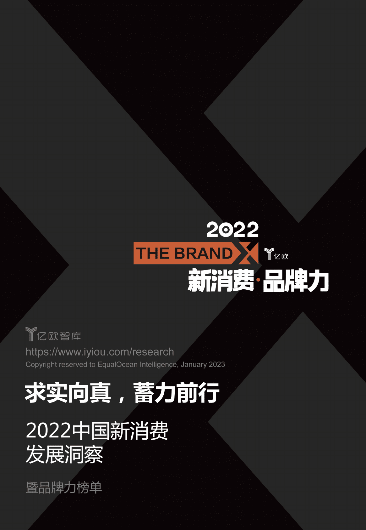亿欧智库：2022中国新消费发展洞察暨品牌力榜单 第1页