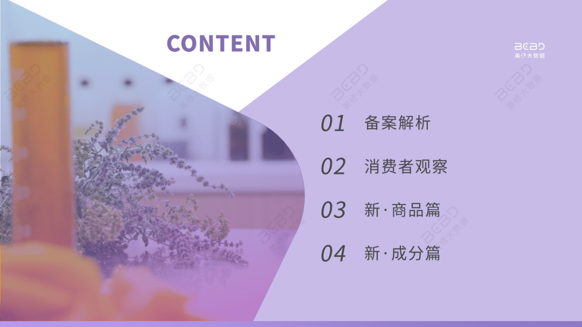 美丽修行：2022年12月美妆行业月度报告 第2页