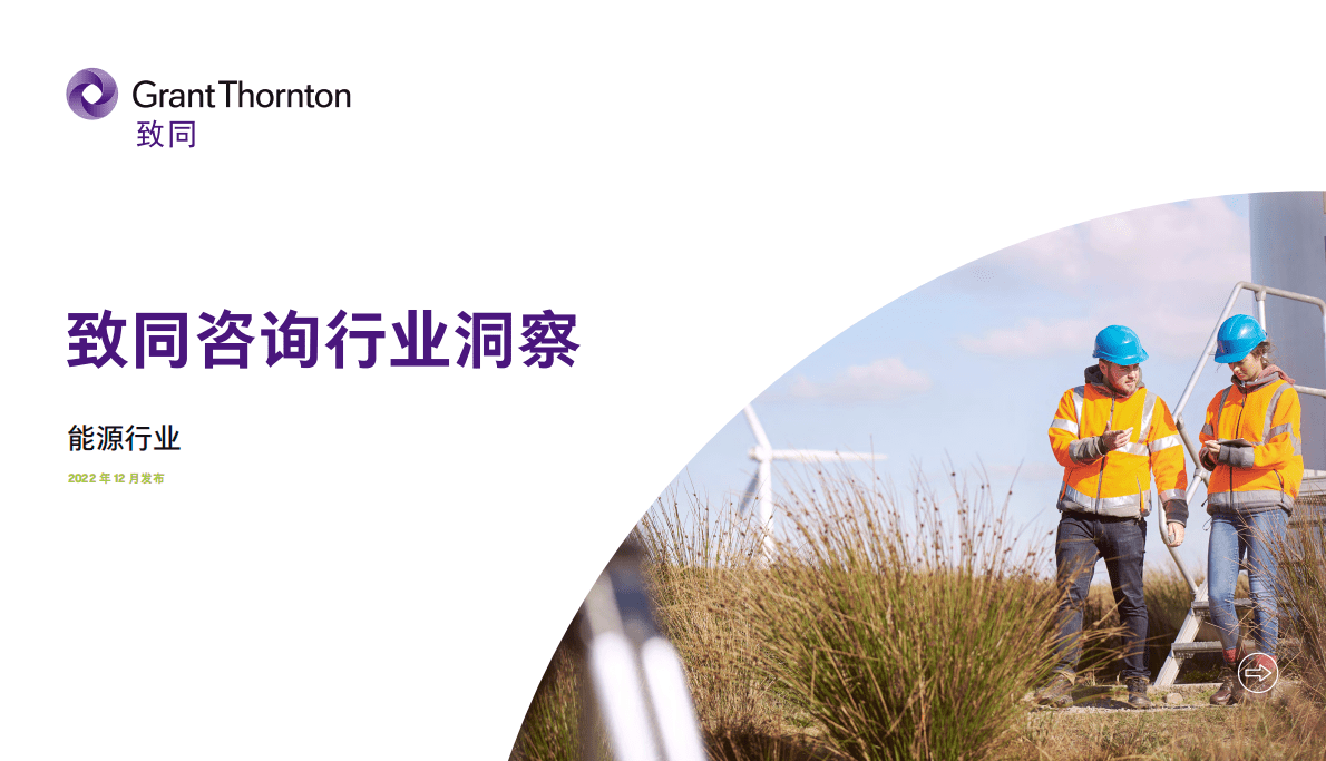 致同咨询：2022年能源行业洞察 第1页